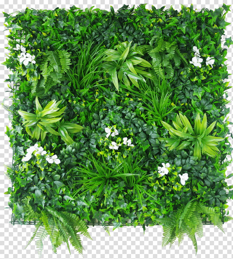Green Grass, Green Wall, Garden, Hedge, Designer Vertical Gardens, Fence, Designer Plants, Balcony transparent background PNG clipart