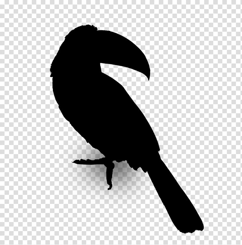 Hornbill Bird, Beak, Silhouette, Toucan, Crow, Coraciiformes, Raven, Crowlike Bird transparent background PNG clipart