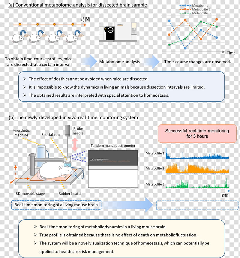 Cartoon Brain, Nagoya University, Research, Organization, Course Credit, System, Realtime Computing, Metabolome transparent background PNG clipart