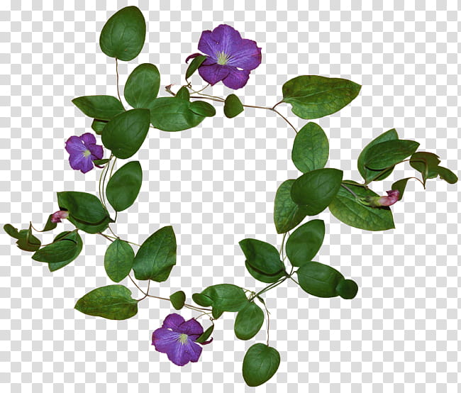 Plant Heart, Pansy, Violet, Flower, Thought, Plants, Woodwind Instrument, Musical Instruments transparent background PNG clipart