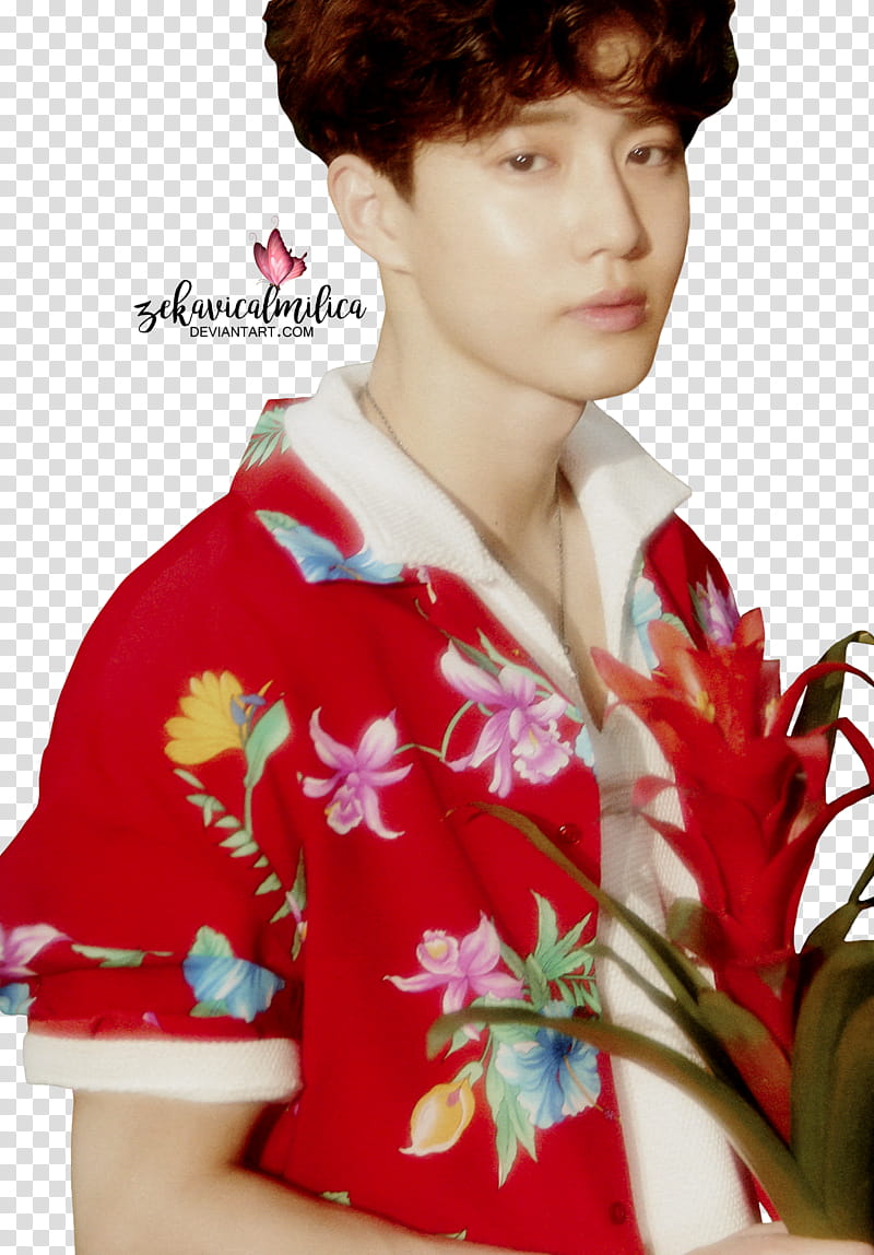 EXO Suho The War, man wearing red and white collared shirt while holding flower transparent background PNG clipart
