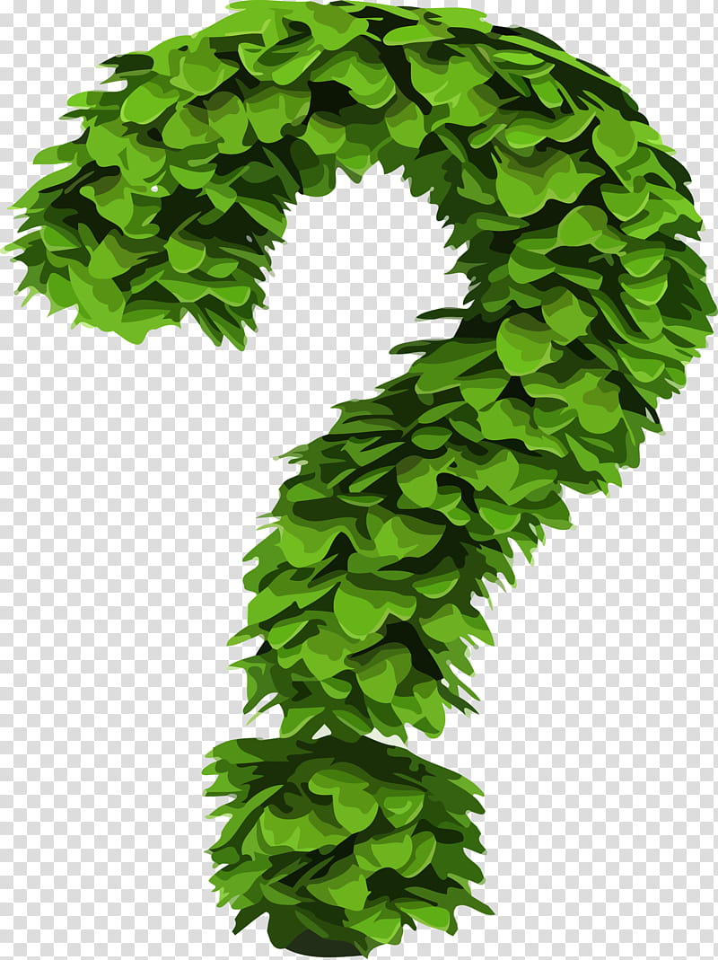 leaf green plant tree grass, Question Mark, Cartoon, Flower, Vascular Plant transparent background PNG clipart