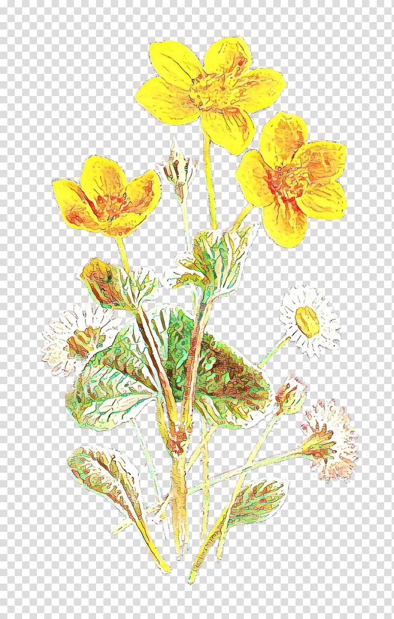 Flowers, Cut Flowers, Plant Stem, Herbaceous Plant, Plants, Yellow, Pedicel, Petal transparent background PNG clipart