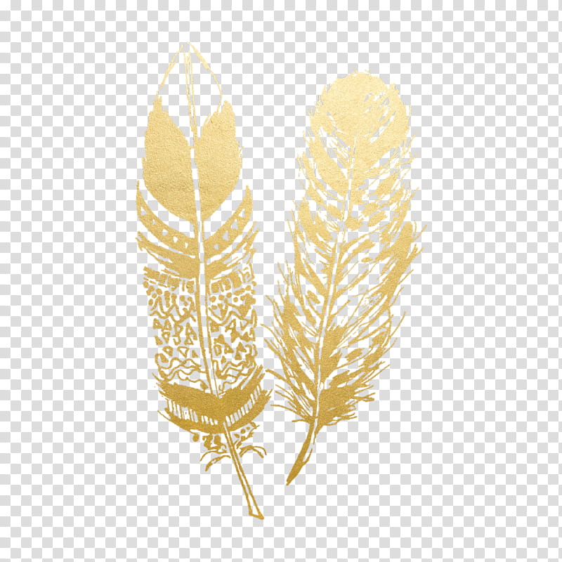 Plant Leaf, Feather, Tshirt, Gold, Womens Lightweight Cotton Zipup Hoodie, Sticker, Decal, Anvil Adult Triblend Tshirt 6750 transparent background PNG clipart