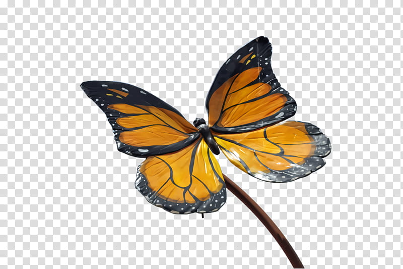 Monarch butterfly, Moths And Butterflies, Insect, Pollinator, Brushfooted Butterfly, Lycaenid, Viceroy Butterfly transparent background PNG clipart