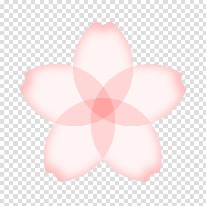 SAKURA Brushes for GIMP, white -petaled flower illustration transparent background PNG clipart