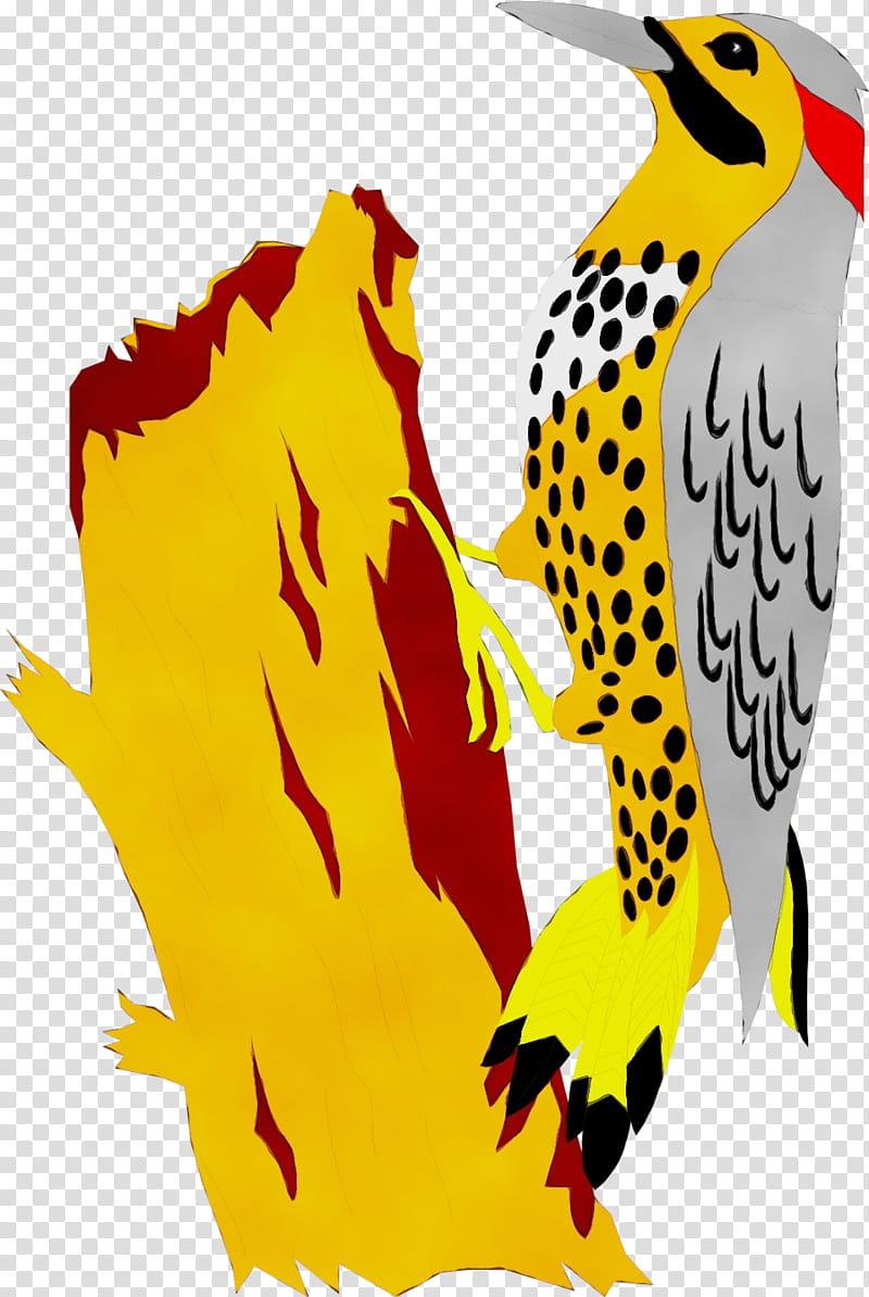 bird yellow beak woodpecker northern flicker, Watercolor, Paint, Wet Ink, Peregrine Falcon, Piciformes, Wildlife transparent background PNG clipart