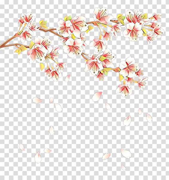 Cherry Blossom, Spring
, Flower, Petal, Amir, Cherries, Floral Design, Picnic transparent background PNG clipart