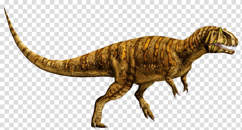 Jurassic Park, Metriacanthosaurus, Tyrannosaurus, Universal s, Suchomimus, Dimorphodon, Dinosaur, Film transparent background PNG clipart