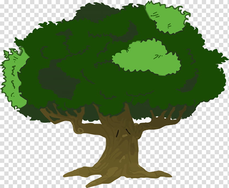 Oak Tree Leaf, Branch, Large Tree, Cartoon, Woody Plant, Root, Green, Grass transparent background PNG clipart