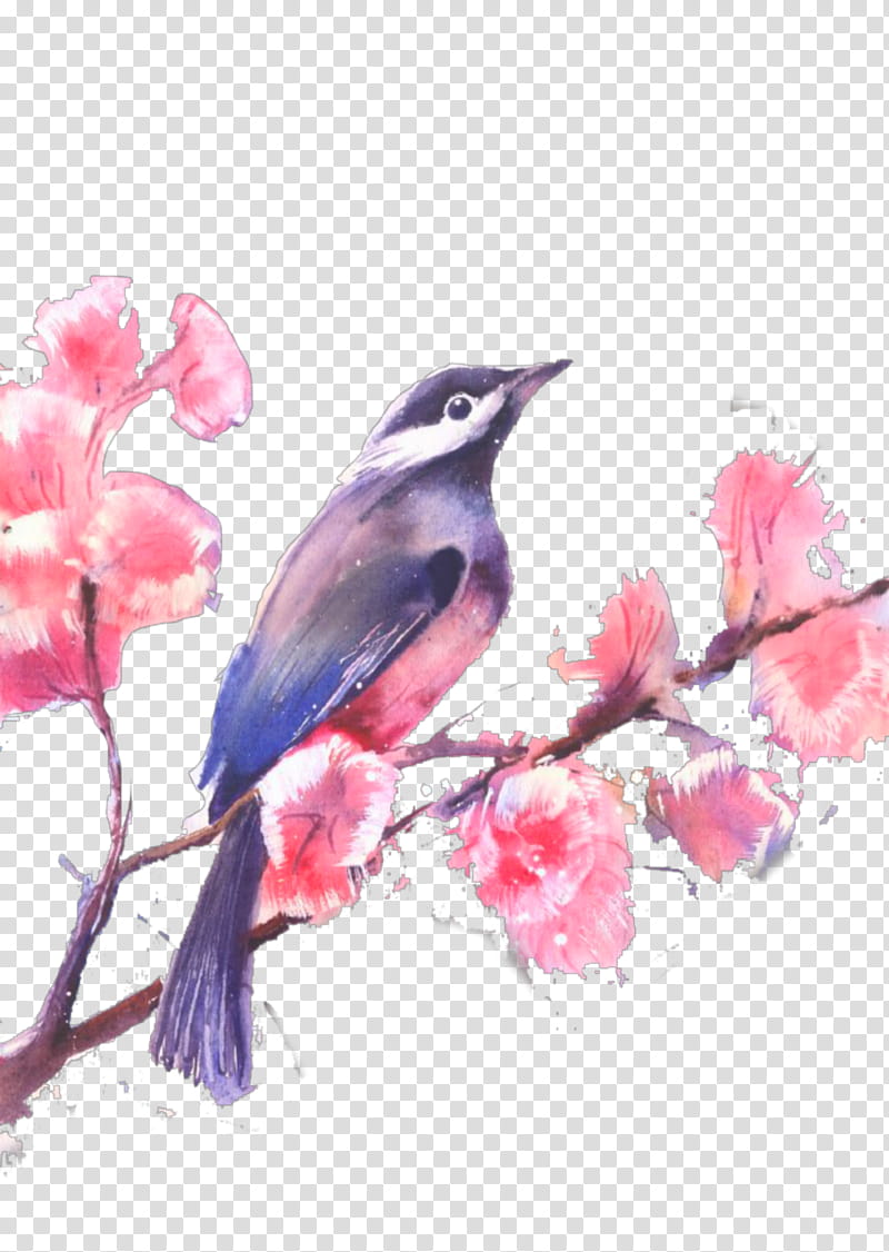 Cherry Blossom Flower, Watercolor Painting, Drawing, Wetonwet, Bird, Pink, Beak, Branch transparent background PNG clipart