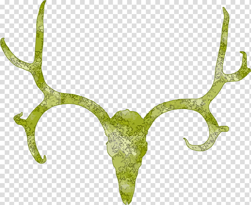 Skull, Deer, Whitetailed Deer, Moose, Elk, Antler, Reindeer, Horn transparent background PNG clipart