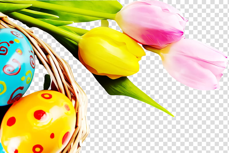 Easter egg, Tulip, Plant, Lily Family, Easter
, Flower transparent background PNG clipart