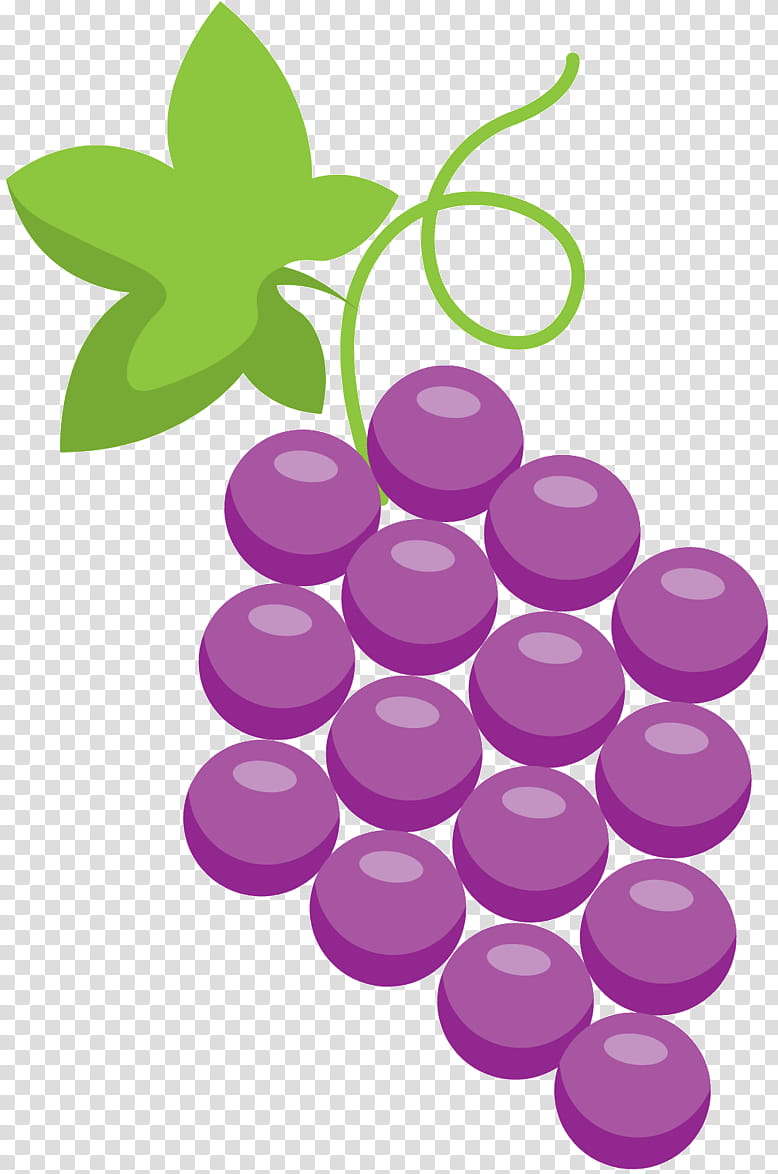 Circle Leaf, Grape, Vacancy Defect, Purple, Weichuan Food Corporation, Violet, Lilac, Plant transparent background PNG clipart