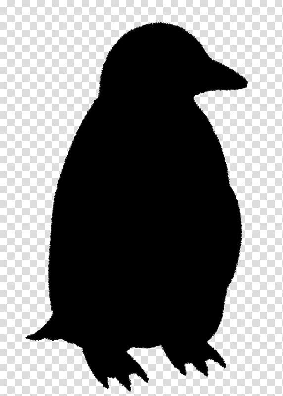 Bird Silhouette, Penguin, Beak, Flightless Bird, Gentoo Penguin transparent background PNG clipart