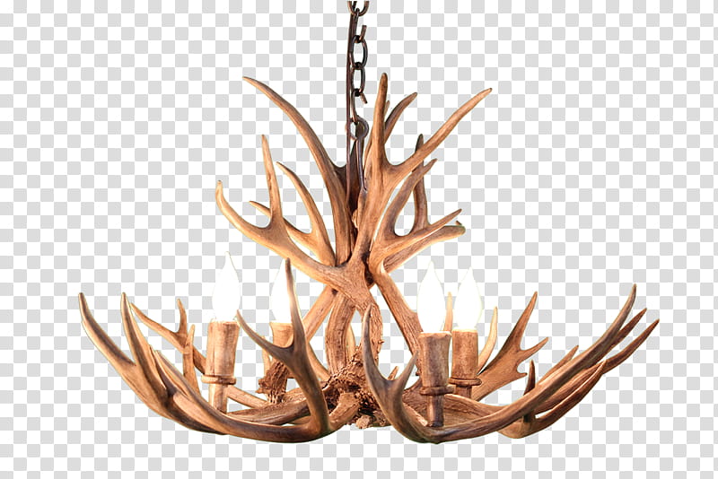 Light, Chandelier, Antler, Deer, Light, Moose, Elk, Light Fixture transparent background PNG clipart