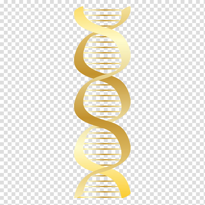 Double Helix, Dna, Nucleic Acid Double Helix, Drawing, Triplestranded Dna, Yellow transparent background PNG clipart