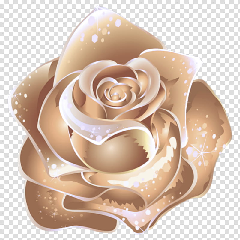 Garden roses, White, Beige, Brown, Flower, Petal, Rose Family, Plant transparent background PNG clipart