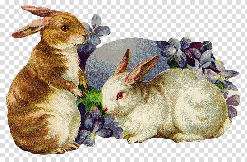 Easter Egg, Easter Bunny, Rabbit, Easter
, Easter Postcard, Greeting Note Cards, Post Cards, Easter Basket transparent background PNG clipart