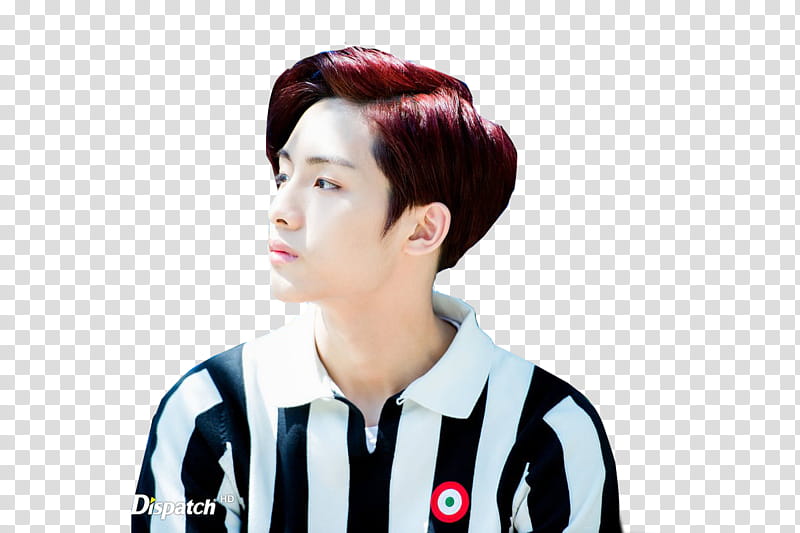 Winwin naver dispatch, man wearing black and white stripe polo shirt transparent background PNG clipart