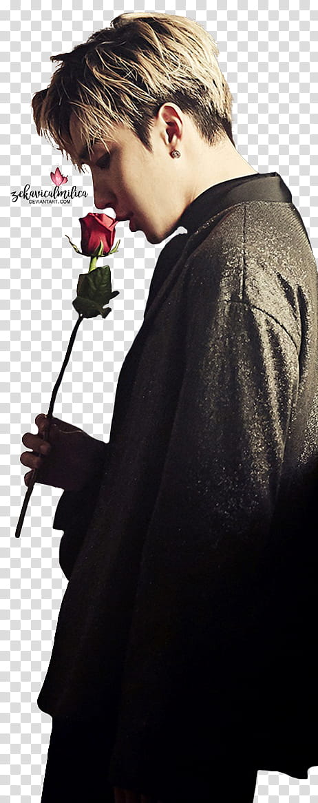 B A P Jongup Rose, man holding rose transparent background PNG clipart