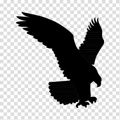 Eagle Logo, Bald Eagle, Silhouette, Owl, Hawk, Beak, Bird, Bird Of Prey transparent background PNG clipart
