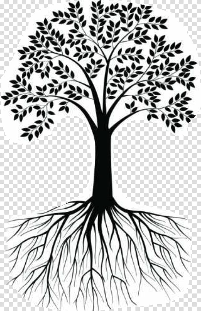 Black And White Flower, Wall Decal, Root, Tree, Branch, Sticker, Oak, Drawing transparent background PNG clipart