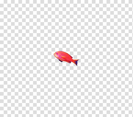 Amazing fishes, red fish transparent background PNG clipart