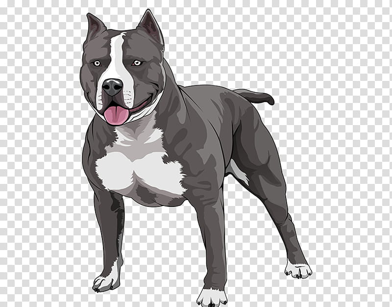 American Bulldog, Tshirt, Sleeve, American Pit Bull Terrier, Raglan Sleeve, American Staffordshire Terrier, Cotton, Staffordshire Bull Terrier transparent background PNG clipart