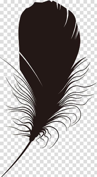 Feather Feather, Animation, FIREBIRD, Silhouette, Chomikujpl, Black, Saint Petersburg, Black And White transparent background PNG clipart