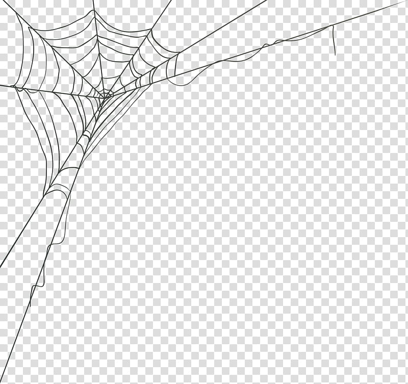 Spider Web, Web Decoration, Spider Silk, Drawing, Line, Line Art, Branch, Blackandwhite transparent background PNG clipart