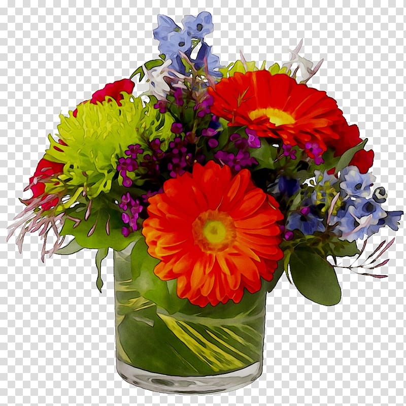 Bouquet Of Flowers, Transvaal Daisy, Floral Design, Cut Flowers, Flower Bouquet, Annual Plant, Wildflower, Plants transparent background PNG clipart