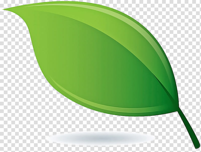 Leaf Green Plant Transparent Background Png Clipart Hiclipart