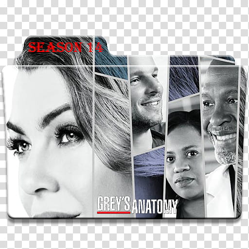 Grey Anatomy Main Folder Season  Icons,  transparent background PNG clipart