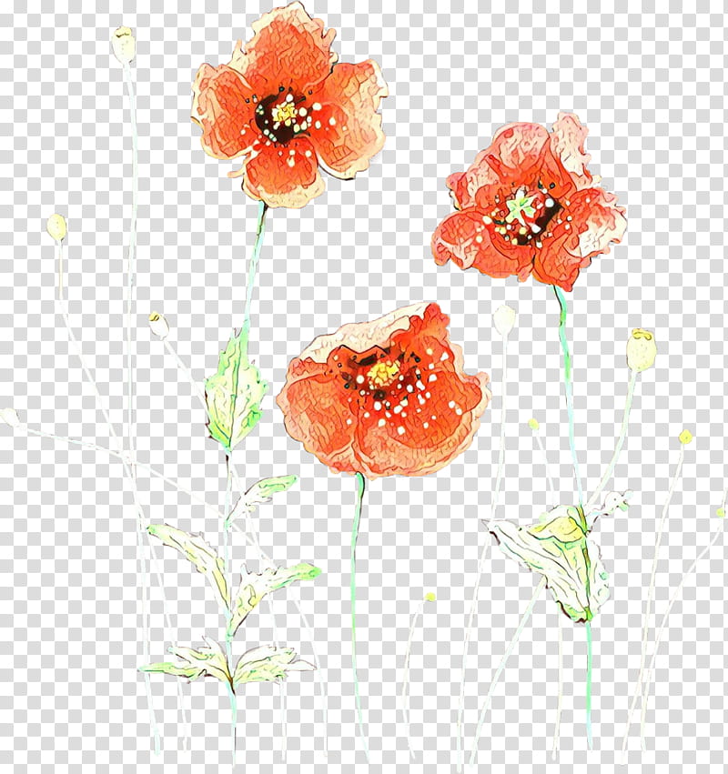 flower watercolor paint coquelicot corn poppy poppy, Plant, Poppy Family, Oriental Poppy transparent background PNG clipart