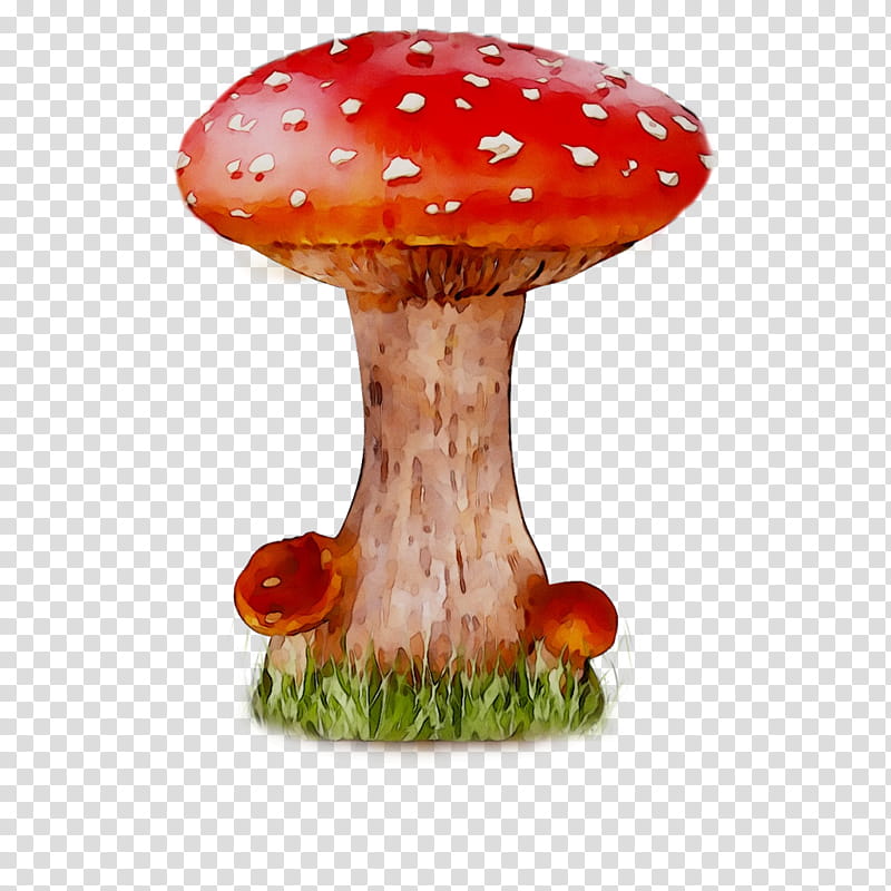 Mushroom, Drawing, Edible Mushroom, Logo, Agaric, Agaricus, Fungus, Agaricaceae transparent background PNG clipart