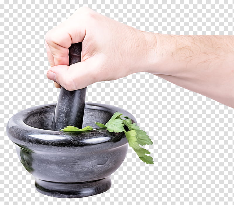 mortar and pestle hand water feature plant cauldron, Mortar And Pestle transparent background PNG clipart