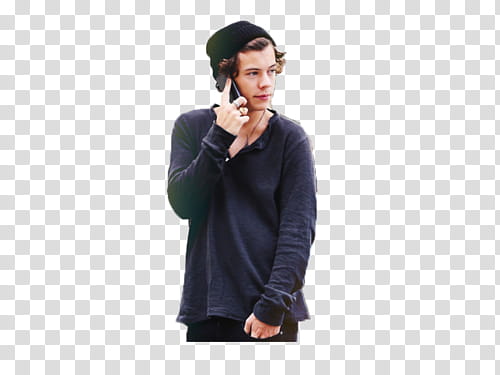 Harry Styles transparent background PNG clipart | HiClipart