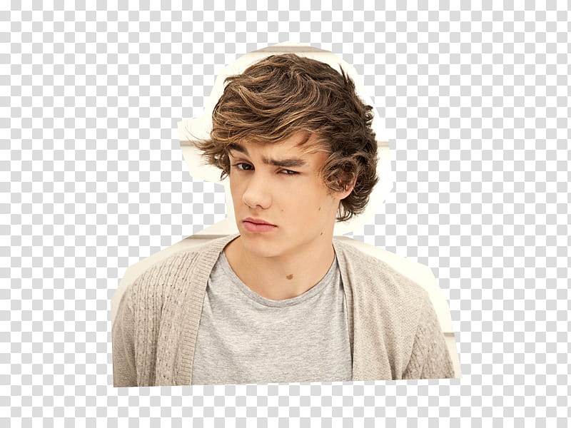 One Direction ZIP, Liam Payne transparent background PNG clipart