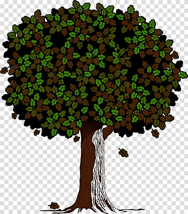 Arbor day, Tree, Plant, Woody Plant, Leaf, Grass, Trunk transparent background PNG clipart