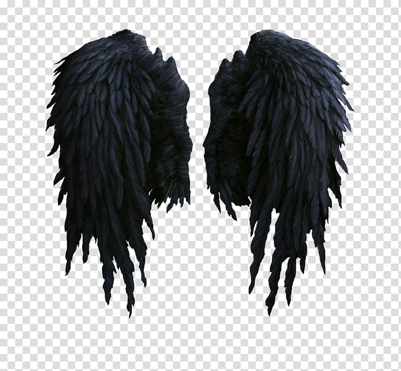 Black Angel Wings Black Wings Costume Transparent