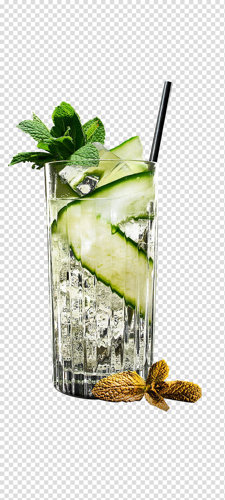 Water, Mojito, Cocktail Garnish, Gin And Tonic, Caipirinha, Rum And Coke, Mint Julep, Vodka Tonic transparent background PNG clipart