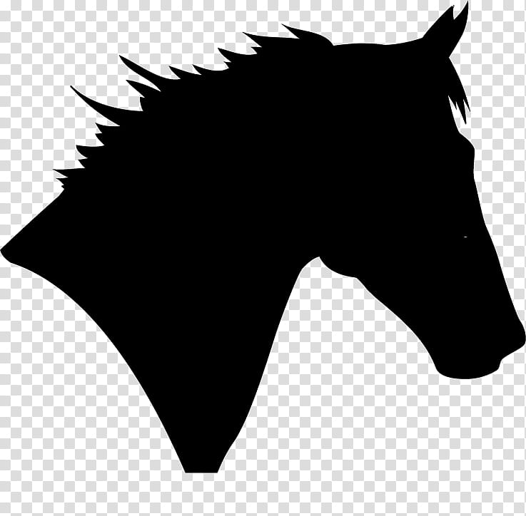 horse head png