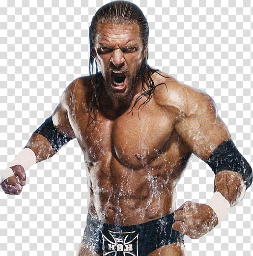 Triple H  transparent background PNG clipart