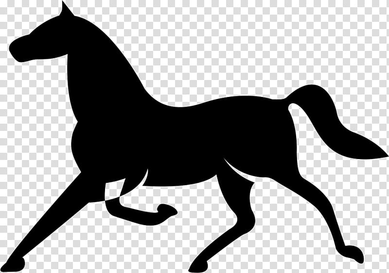Book Black And White, Arabian Horse, Friesian Horse, Andalusian Horse, Stallion, Horse Head Mask, Natural Horsemanship, Snap transparent background PNG clipart