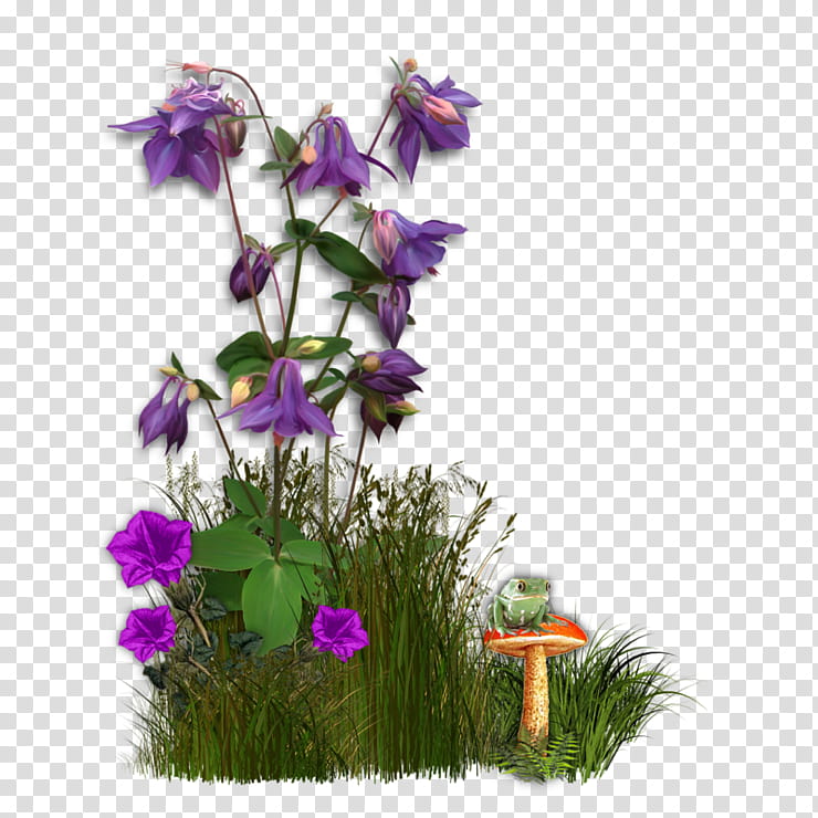 Floral Flower, Floral Design, Bellflowers, Violet, Animation, Purple, Plant, Bellflower Family transparent background PNG clipart