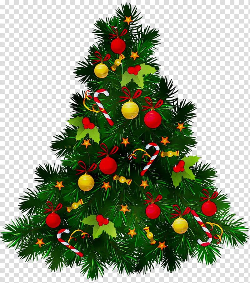 White Christmas Lights, Christmas Tree, Christmas Day, Christmas Ornament, Christmas Decoration, Web Design, Colorado Spruce, Oregon Pine transparent background PNG clipart