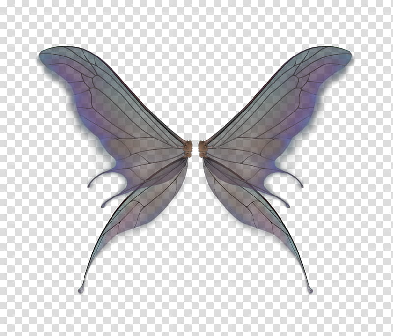 Fantacy Wings WF transparent background PNG clipart