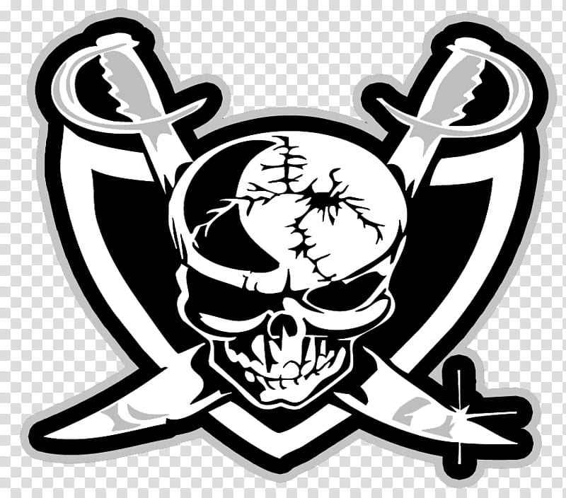 raiders skull logo