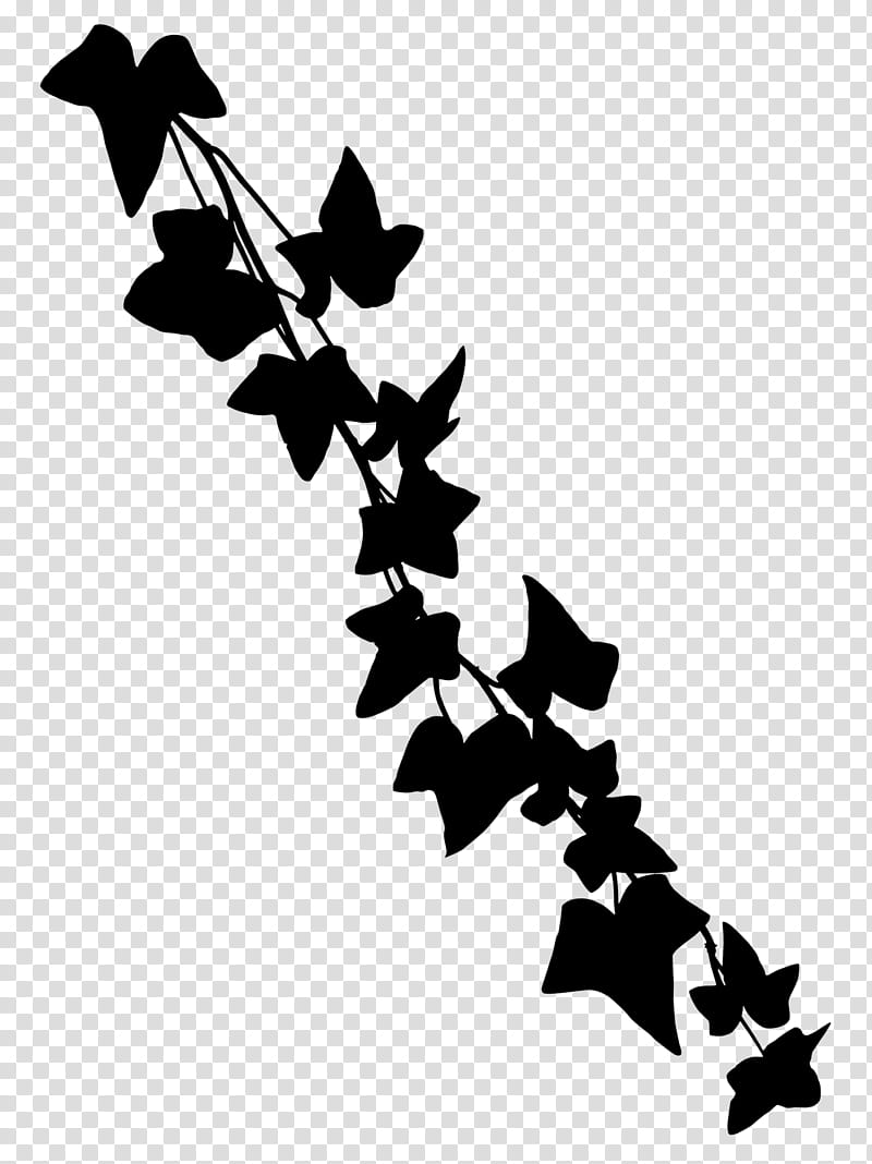 Flower Banner, Web Banner, Advertising, Blog, Paper Clip, Leaf, Blackandwhite, Line transparent background PNG clipart